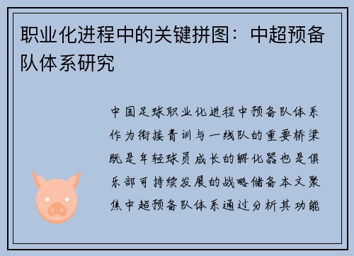 职业化进程中的关键拼图：中超预备队体系研究